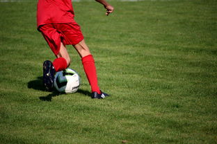 米兰体育官方下载-意甲裁判语义辅助判罚系统提升比赛公平性研究，意甲裁判球衣赞助商